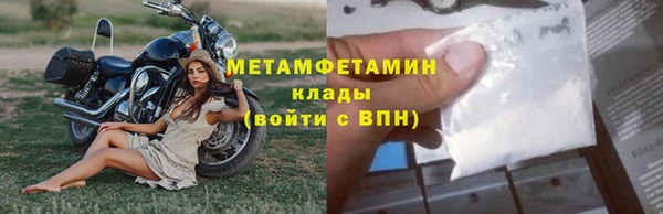 индика Арсеньев