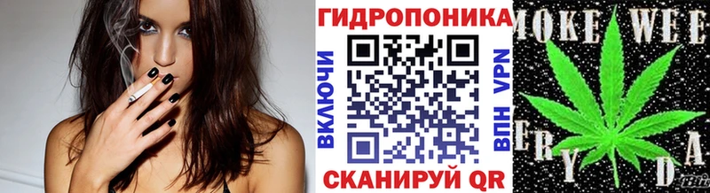 Бошки марихуана Amnesia  где купить наркотик  Собинка 